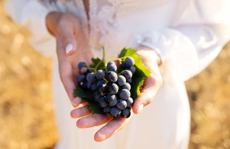 A close-up of a woman holding a bunch of blueberries for eating for perimenopause