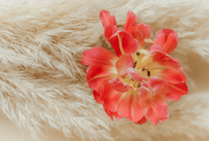 menstruation flower