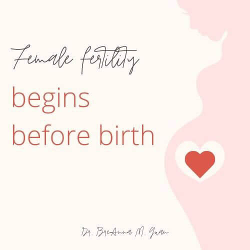 Fertility begins before birth