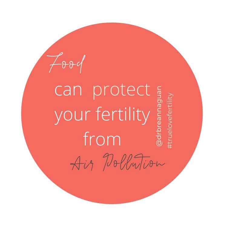 Food can protect your fertility from air pollution