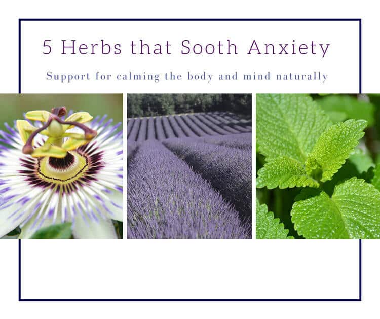 Herbs that ease anxiety